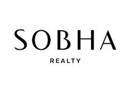 Developer Image